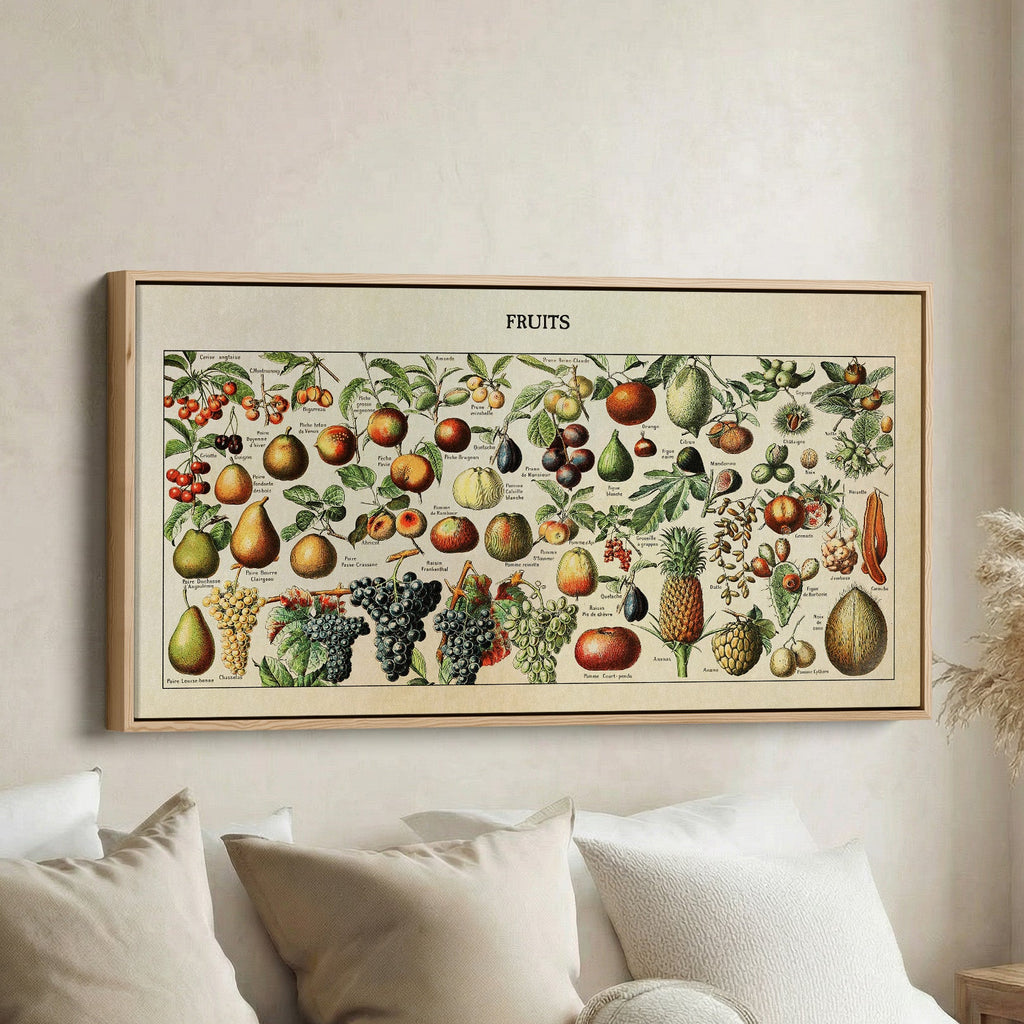 Adolphe Millot Vintage Fruit Chart Bedroom Wall Art Extra Wide Canvas For Kitchen