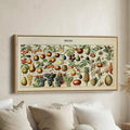 Adolphe Millot Vintage Fruit Chart Bedroom Wall Art Extra Wide Canvas For Kitchen
