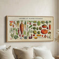 Adolphe Millot Legumes Wide Canvas Statement Wall Decor For Kitchen
