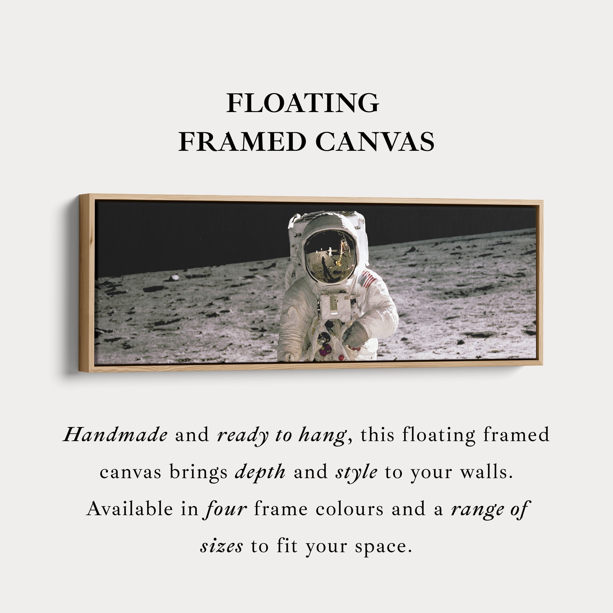 Long Horizontal Wall Art Astronaut Moon Walk NASA