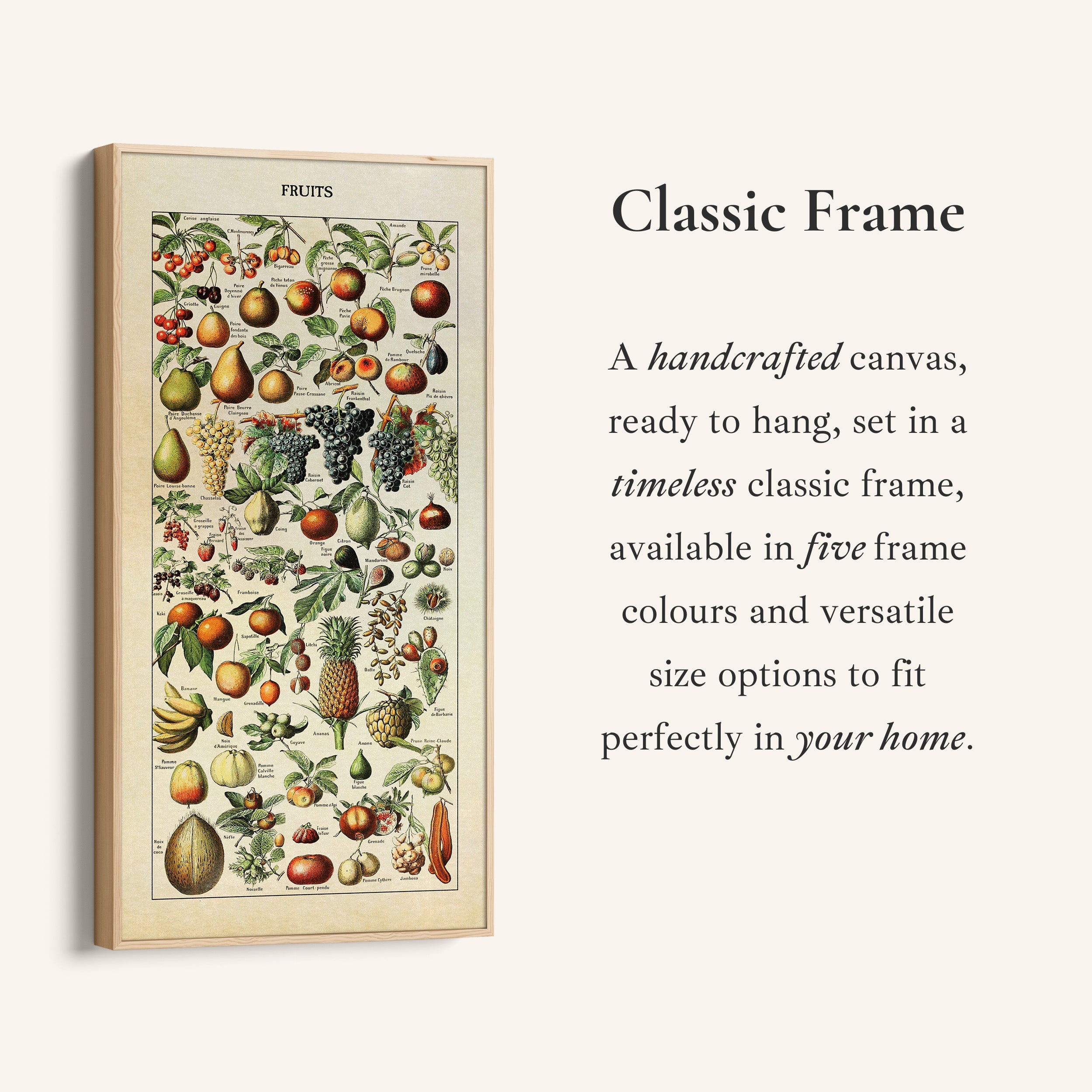 Adolphe Millot Vertical Wall Art Vintage Fruit Botanical Chart Tall Canvas For Kitchen