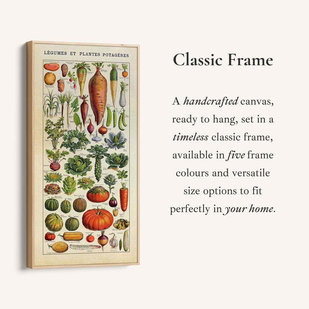 Adolphe Millot Vertical Wall Art Vintage Vegetable Botanical Chart Tall Canvas For Kitchen