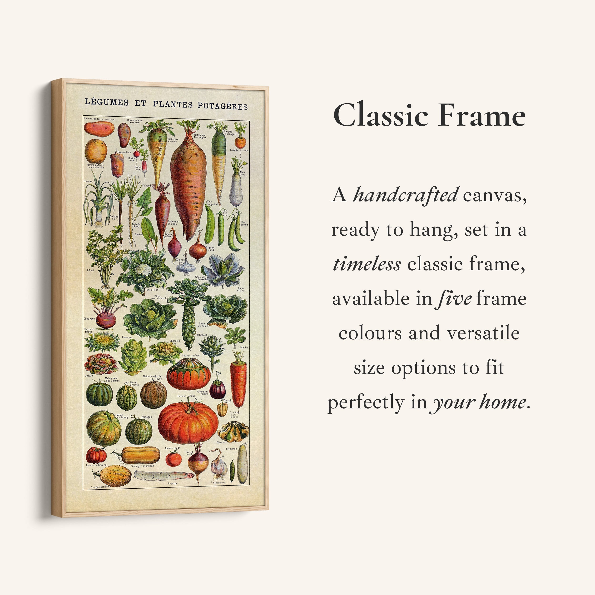 Adolphe Millot Vertical Wall Art Vintage Vegetable Botanical Chart Tall Canvas For Kitchen