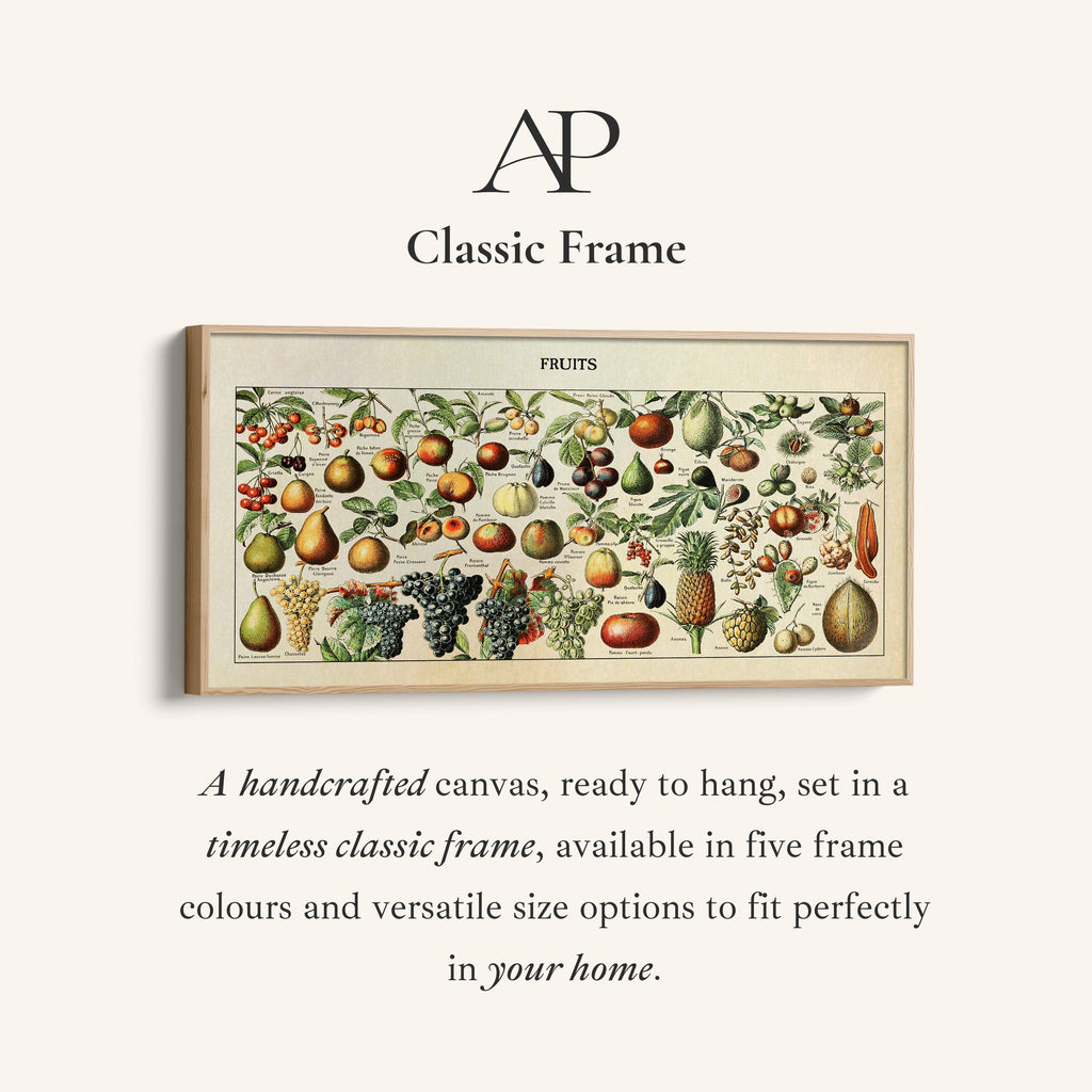 Adolphe Millot Vintage Fruit Chart Bedroom Wall Art Extra Wide Canvas For Kitchen
