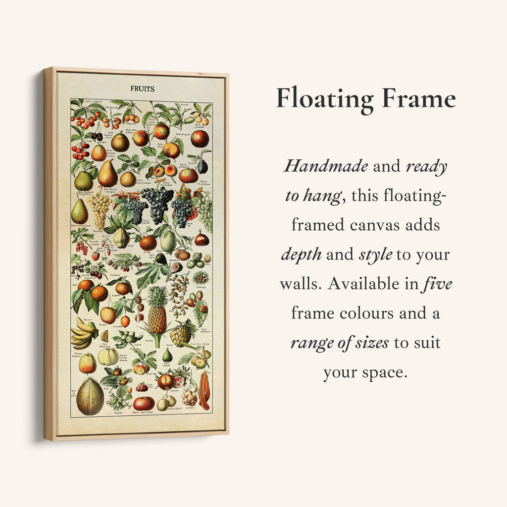 Adolphe Millot Vertical Wall Art Vintage Fruit Botanical Chart Tall Canvas For Kitchen