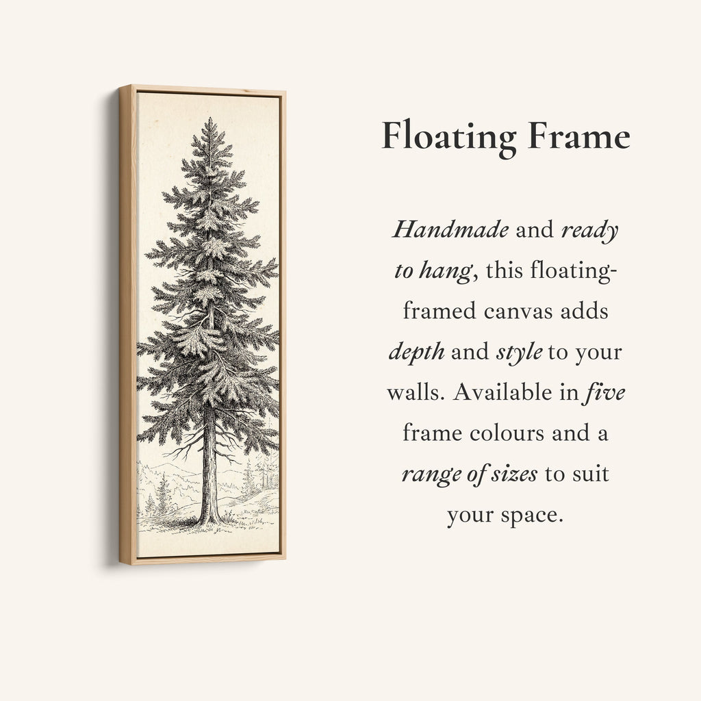 Vintage Pine Illustration Vertical Wall Art Wide Canvas Office