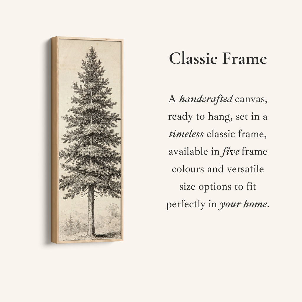 Vintage Pine Tree Long Wall Art Engraving Print Hallway