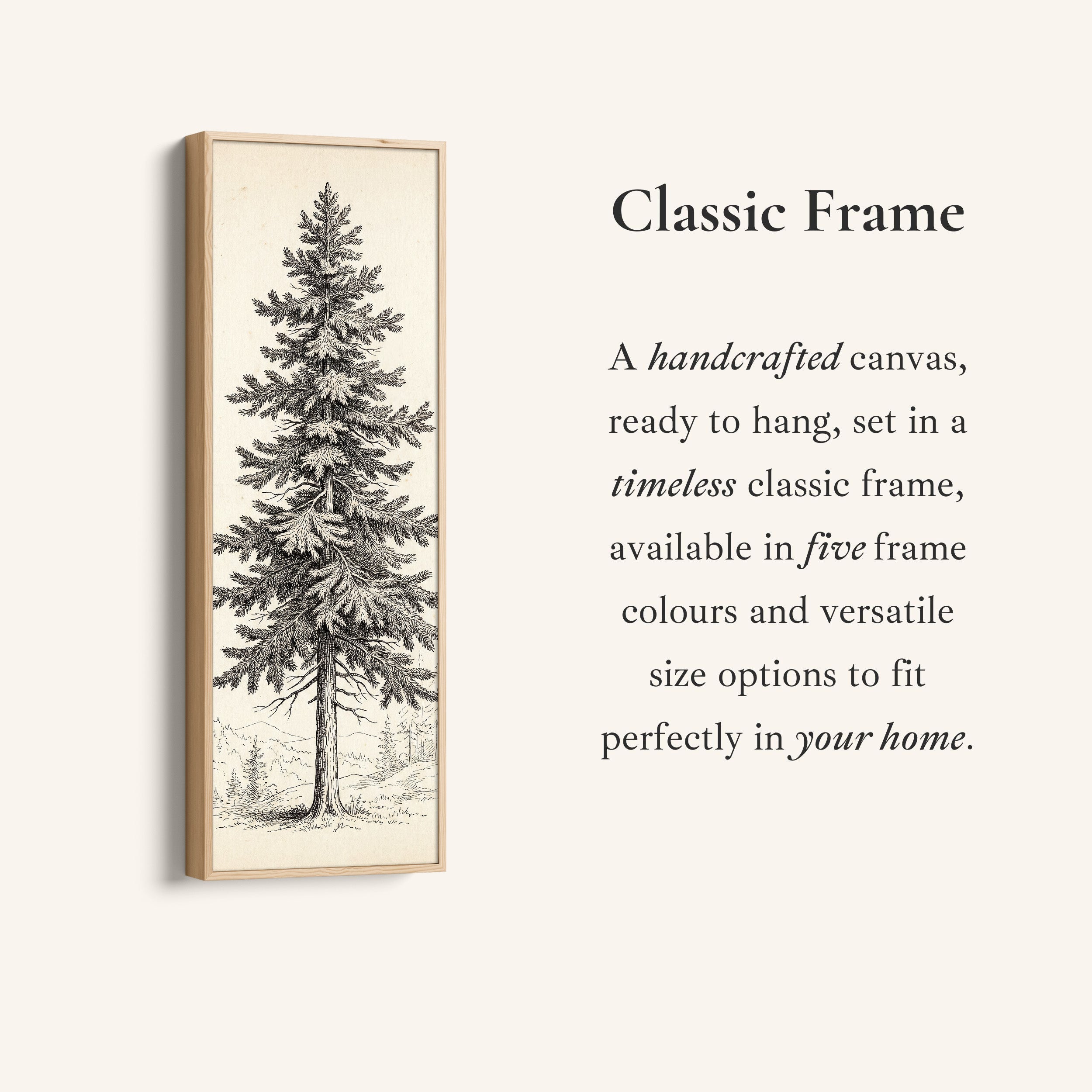 Vintage Pine Illustration Vertical Wall Art Wide Canvas Office