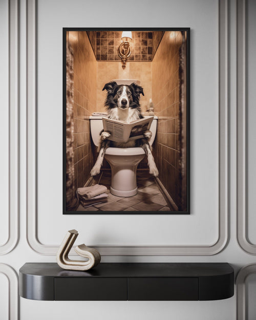 Border Collie Dog On The Toilet Reading Newspaper Picture