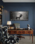 Elk Stag In The Forest Black White Photography Framed Canvas Wall Art