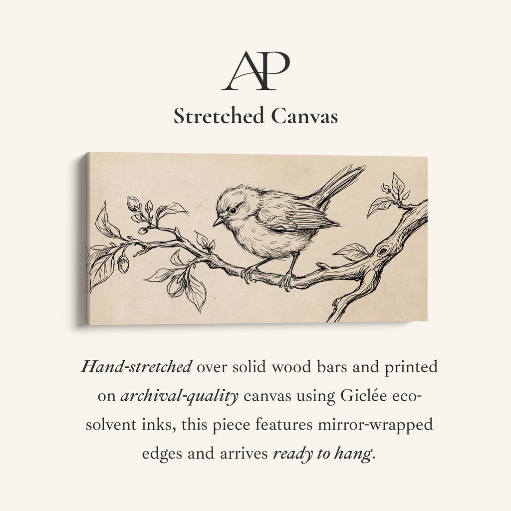 Bird Line Drawing Large Wall Art Statement Wall Decor For Bedroom