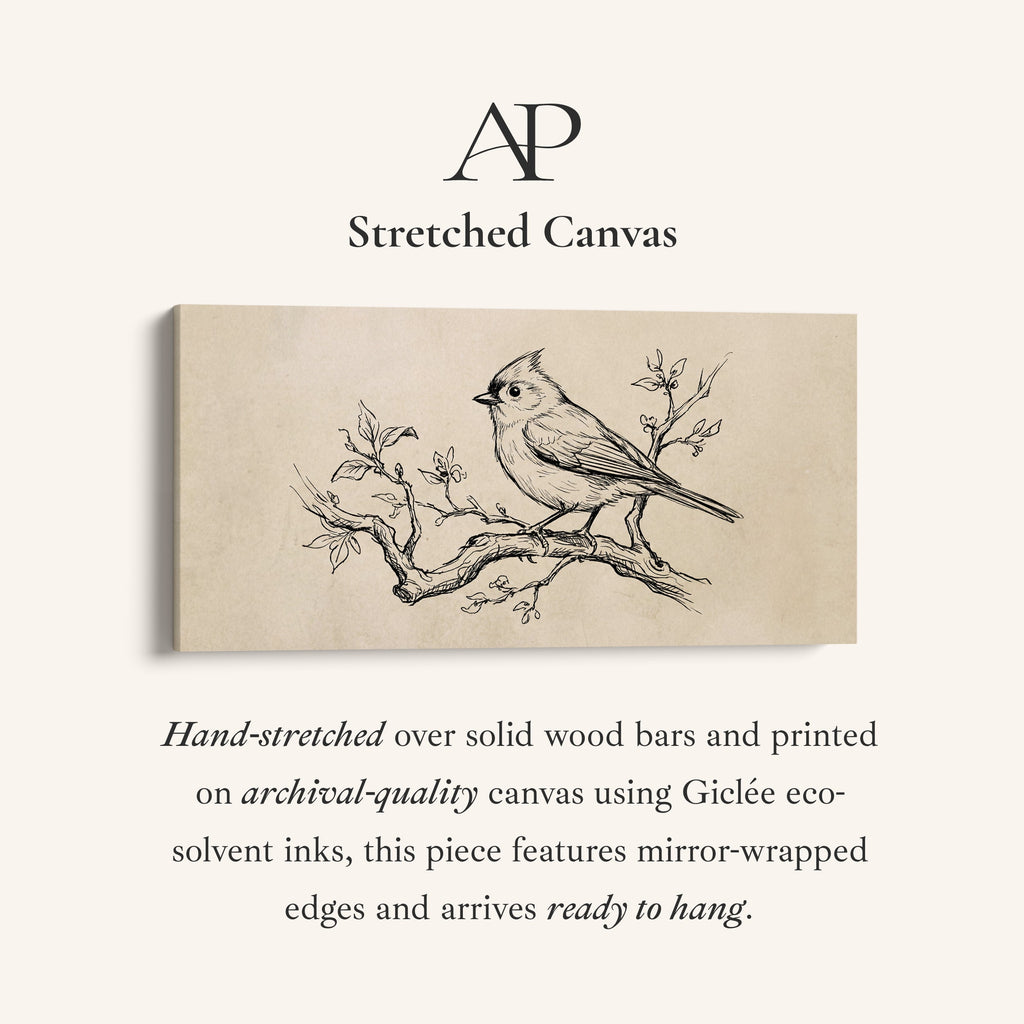 Two Bird Sketches Panoramic Wall Art Oversized Wall Decor For Office
