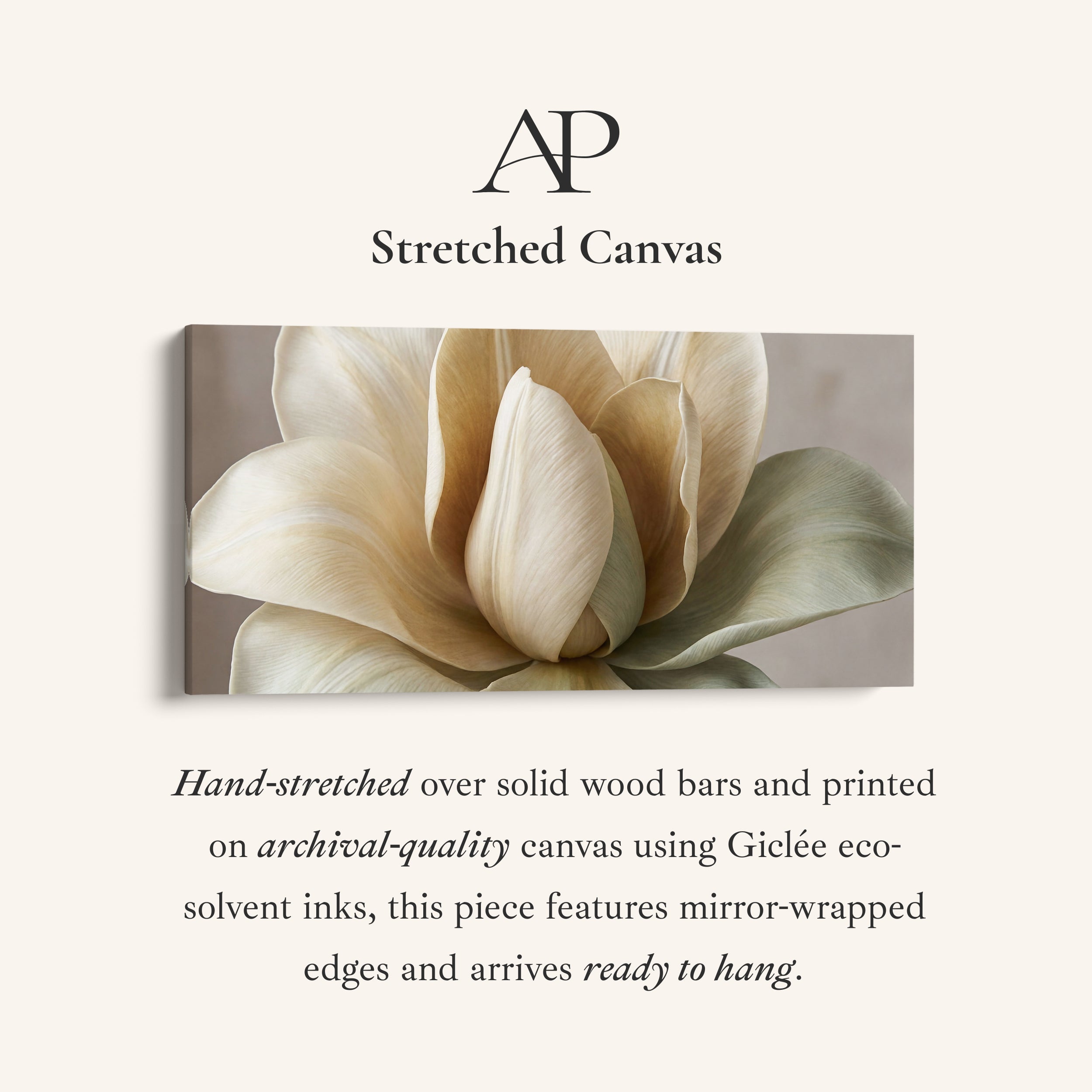 Panoramic Wall Art White Flower Close Up Horizontal Canvas Print Bedroom