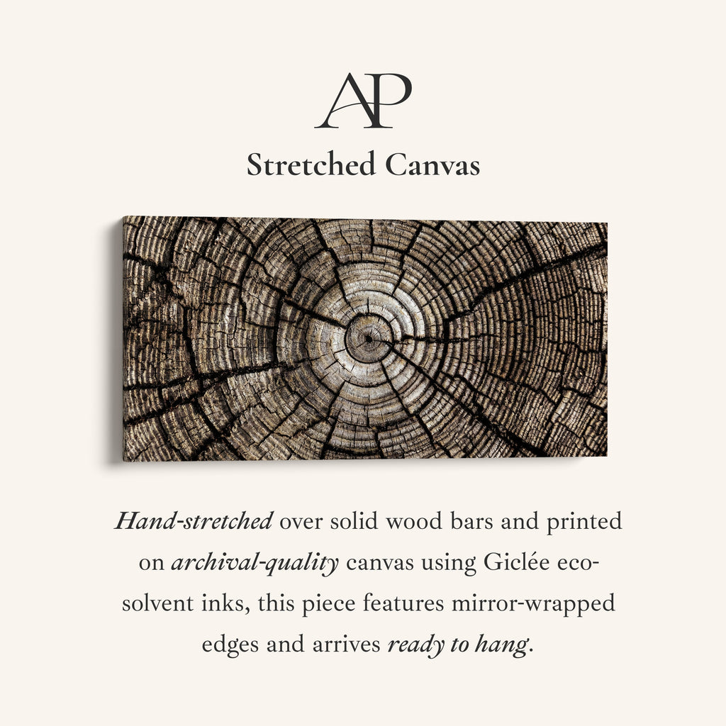 Tree Trunk Rings Large Wall Art Horizontal Canvas Print For Office