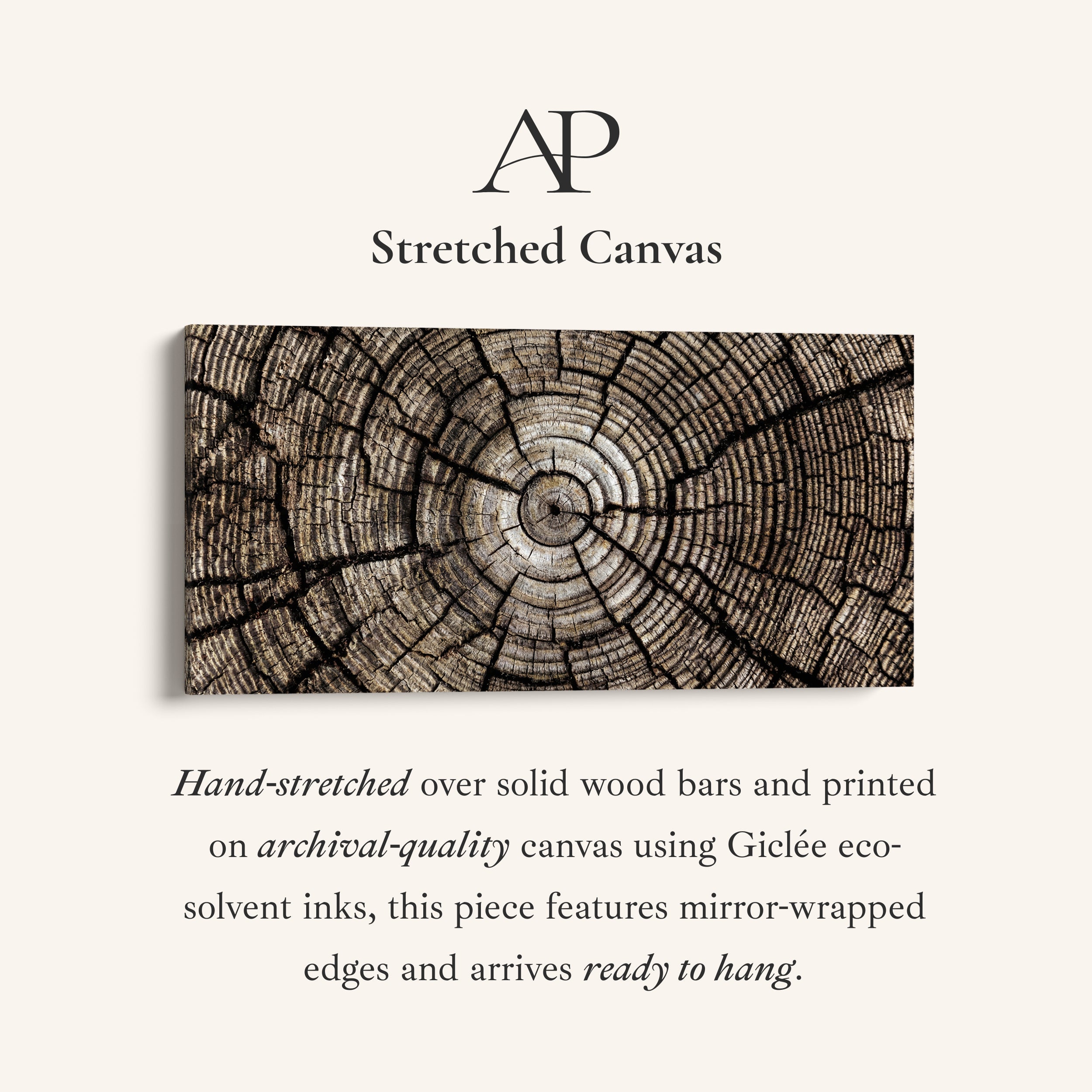 Tree Trunk Rings Large Wall Art Horizontal Canvas Print For Office