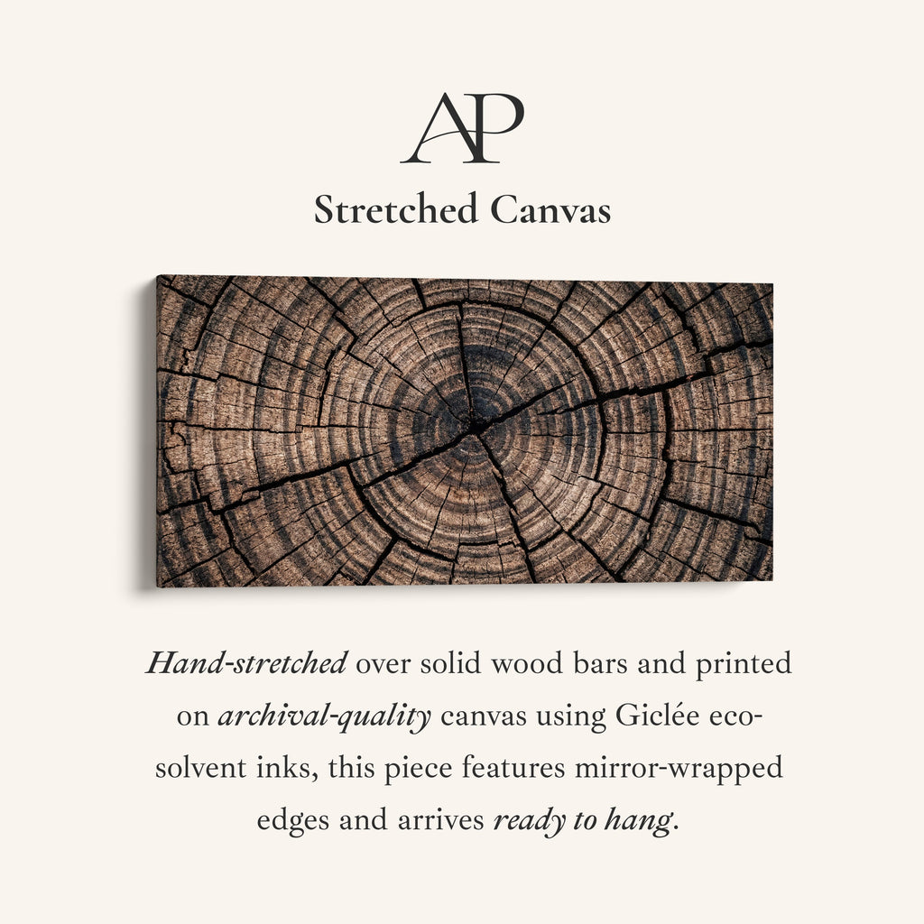 Cracked Tree Stump Panoramic Wall Art Oversized Wall Decor For Office
