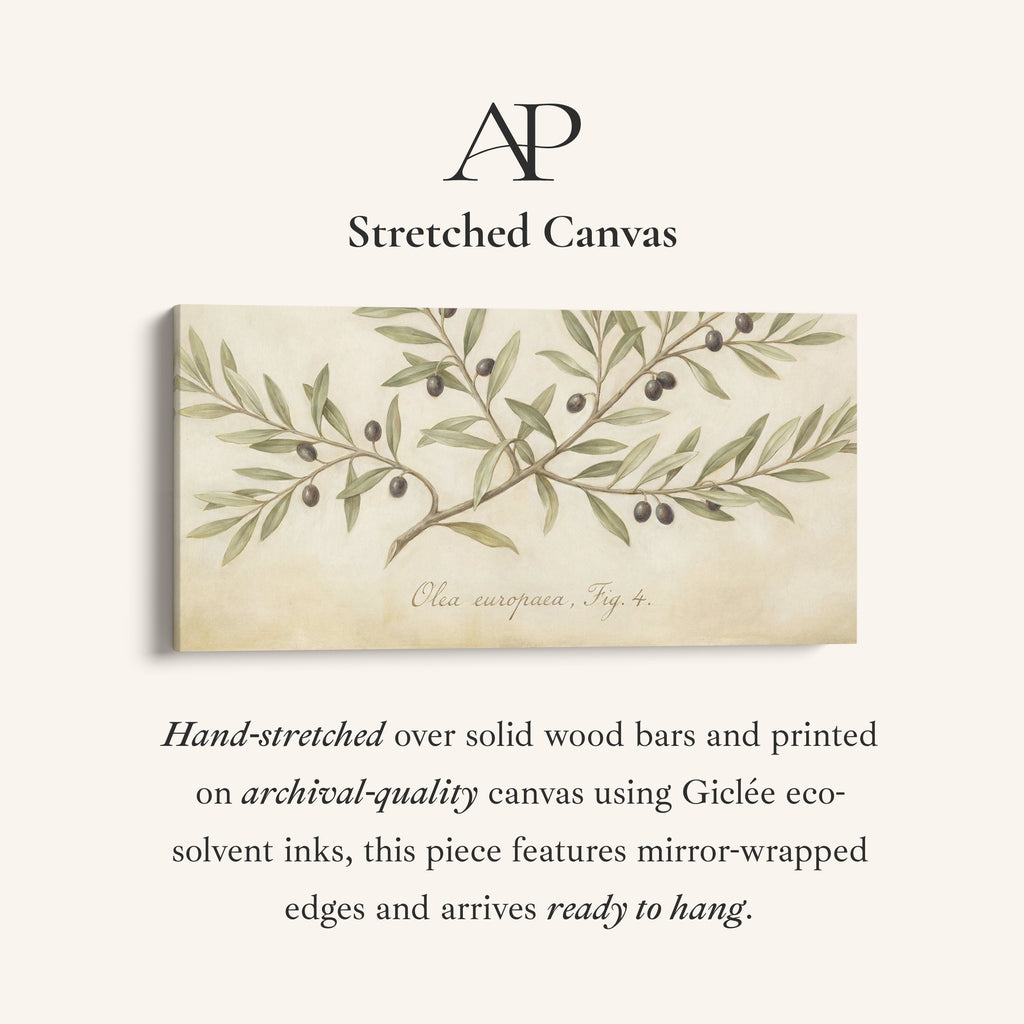 Olive Branch above bed wall art Horizontal Canvas Print For Kitchen