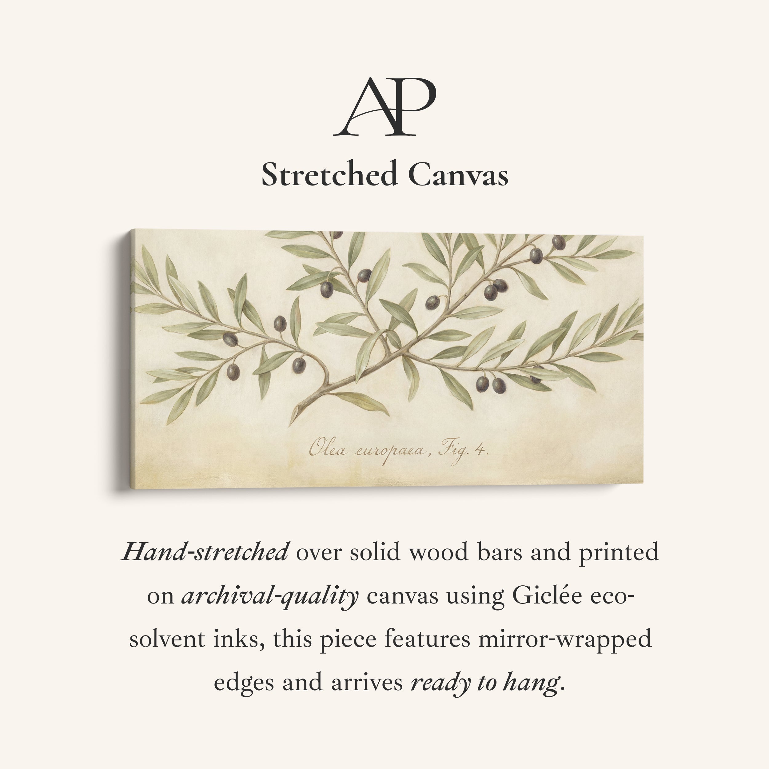 Olive Branch above bed wall art Horizontal Canvas Print For Kitchen