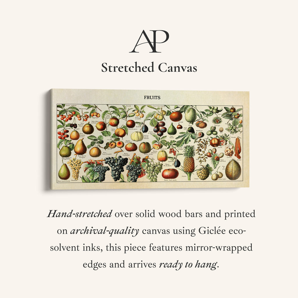 Adolphe Millot Vintage Fruit Chart Bedroom Wall Art Extra Wide Canvas For Kitchen