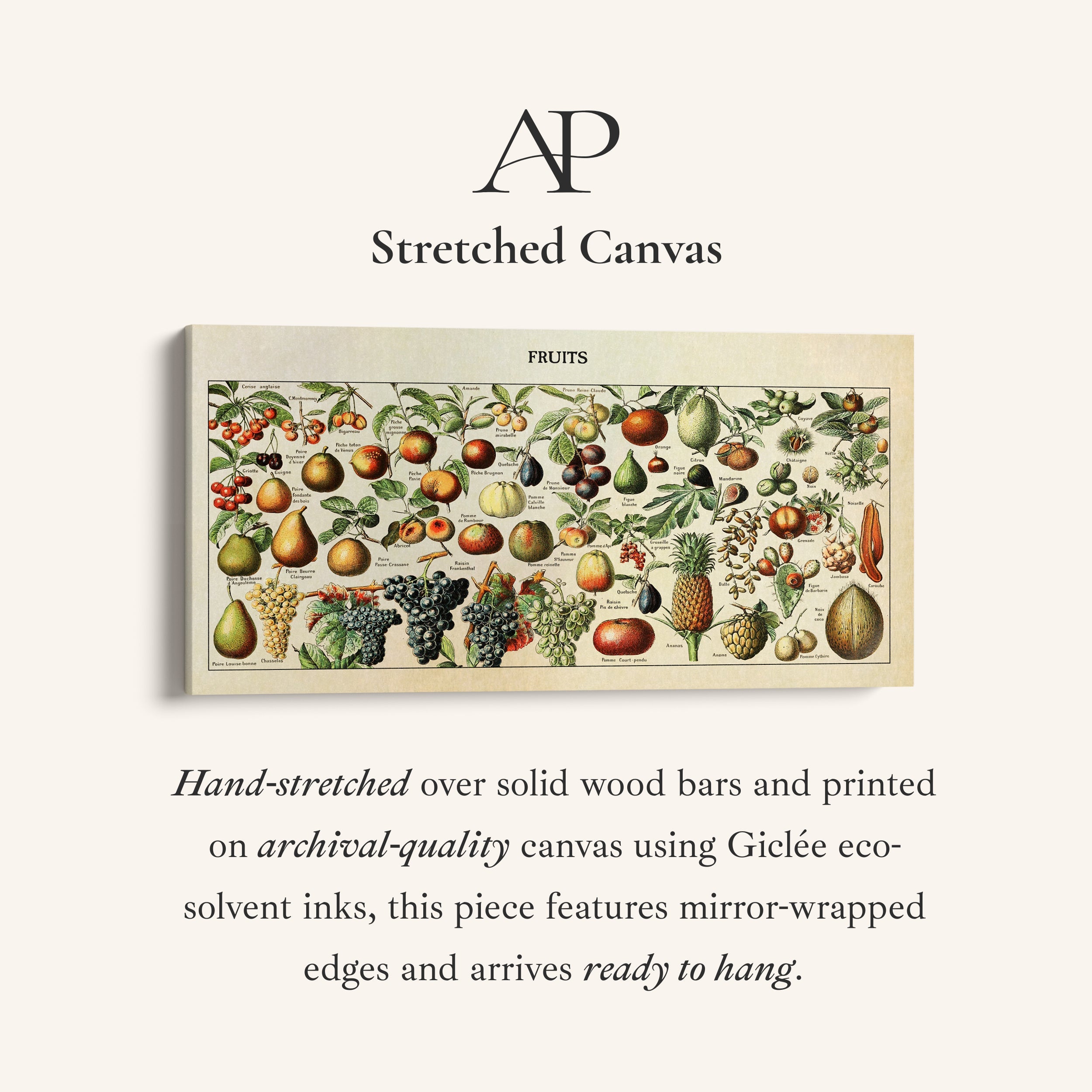 Adolphe Millot Vintage Fruit Chart Bedroom Wall Art Extra Wide Canvas For Kitchen