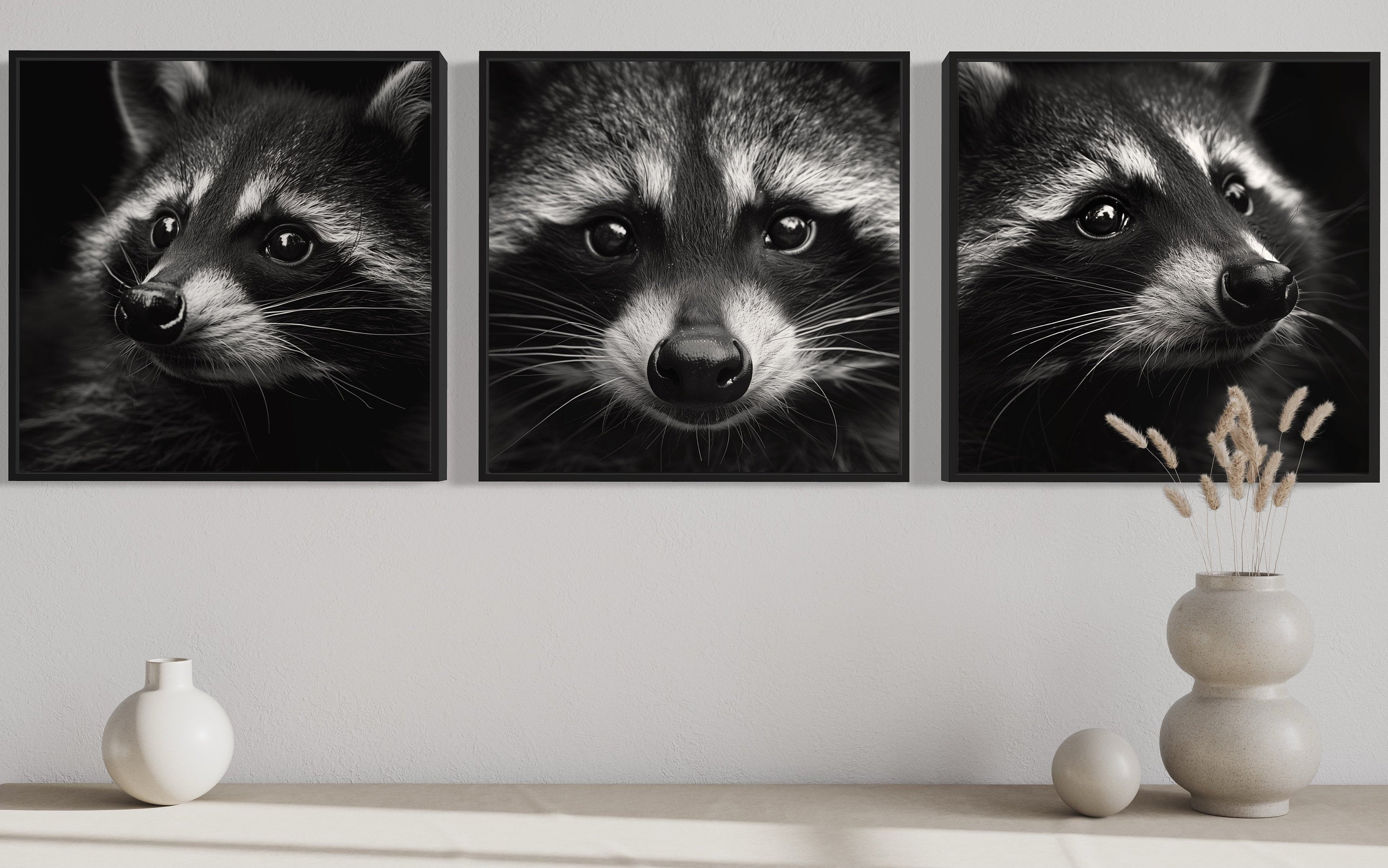 Set of 3 Raccoons Black And White Photography Style Framed Canvas Wall Art