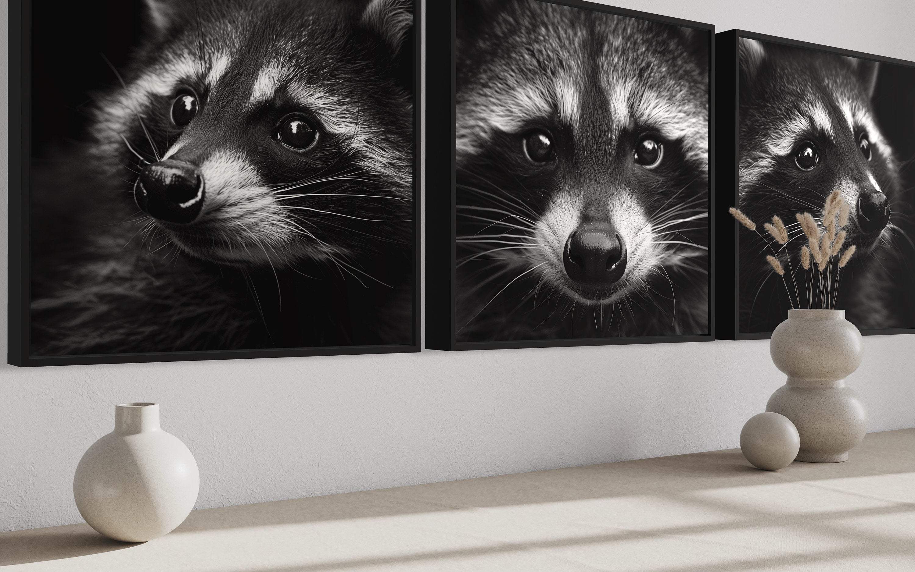 Set of 3 Raccoons Black And White Photography Style Framed Canvas Wall Art