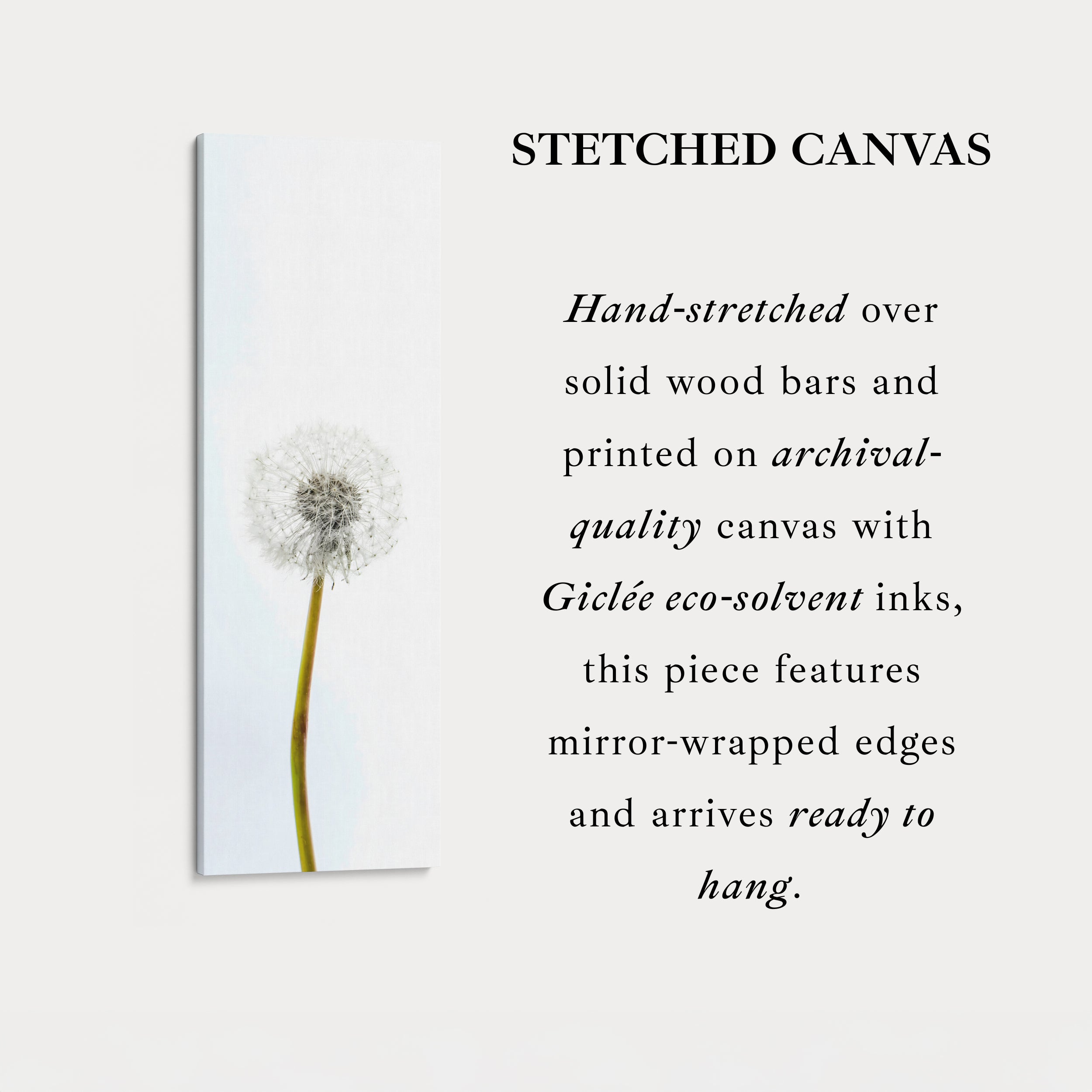 Vertical Framed Canvas Minimal Dandelion Tall Wall Art For Bedroom