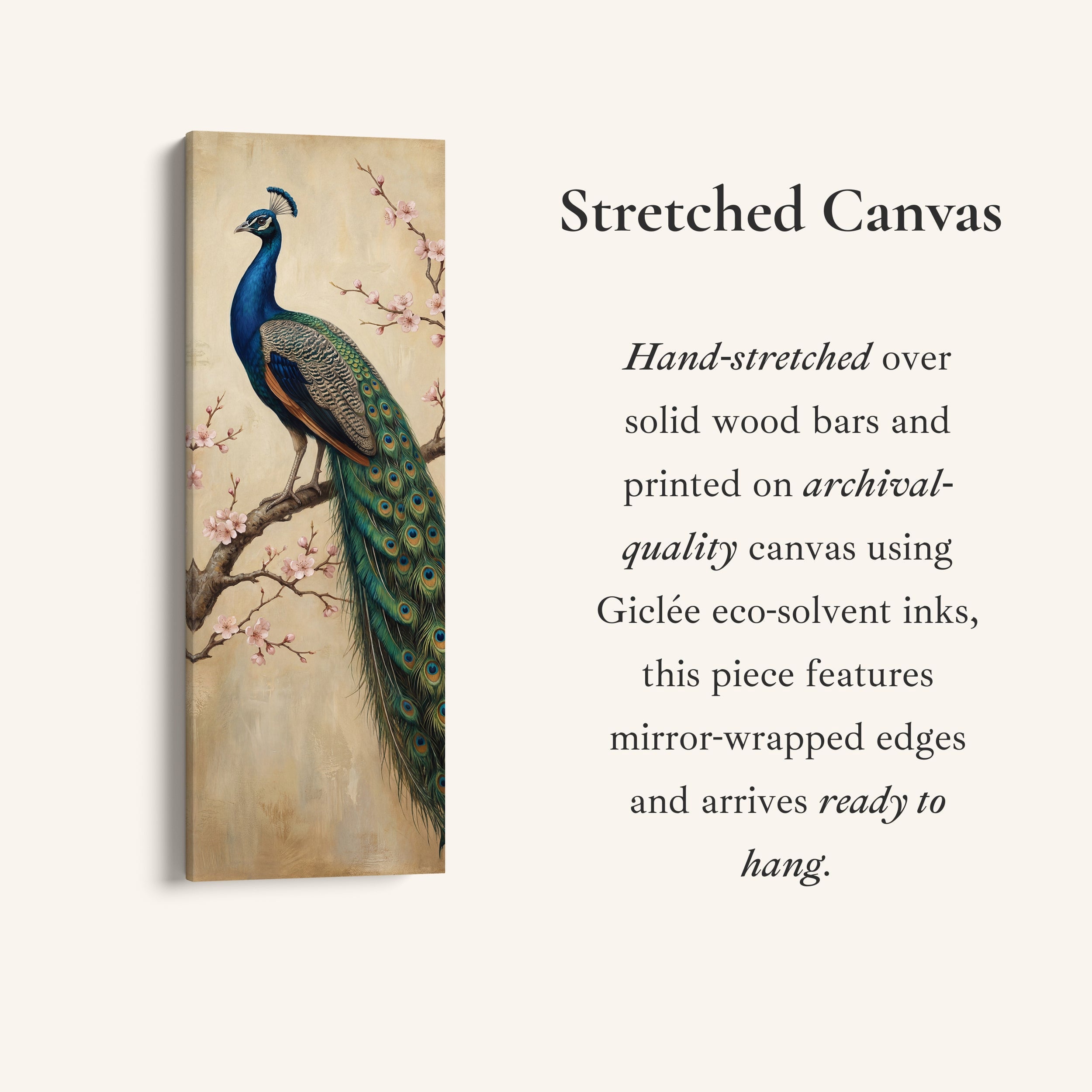 Peacock On Branch Large Wall Art Framed Canvas Print Office
