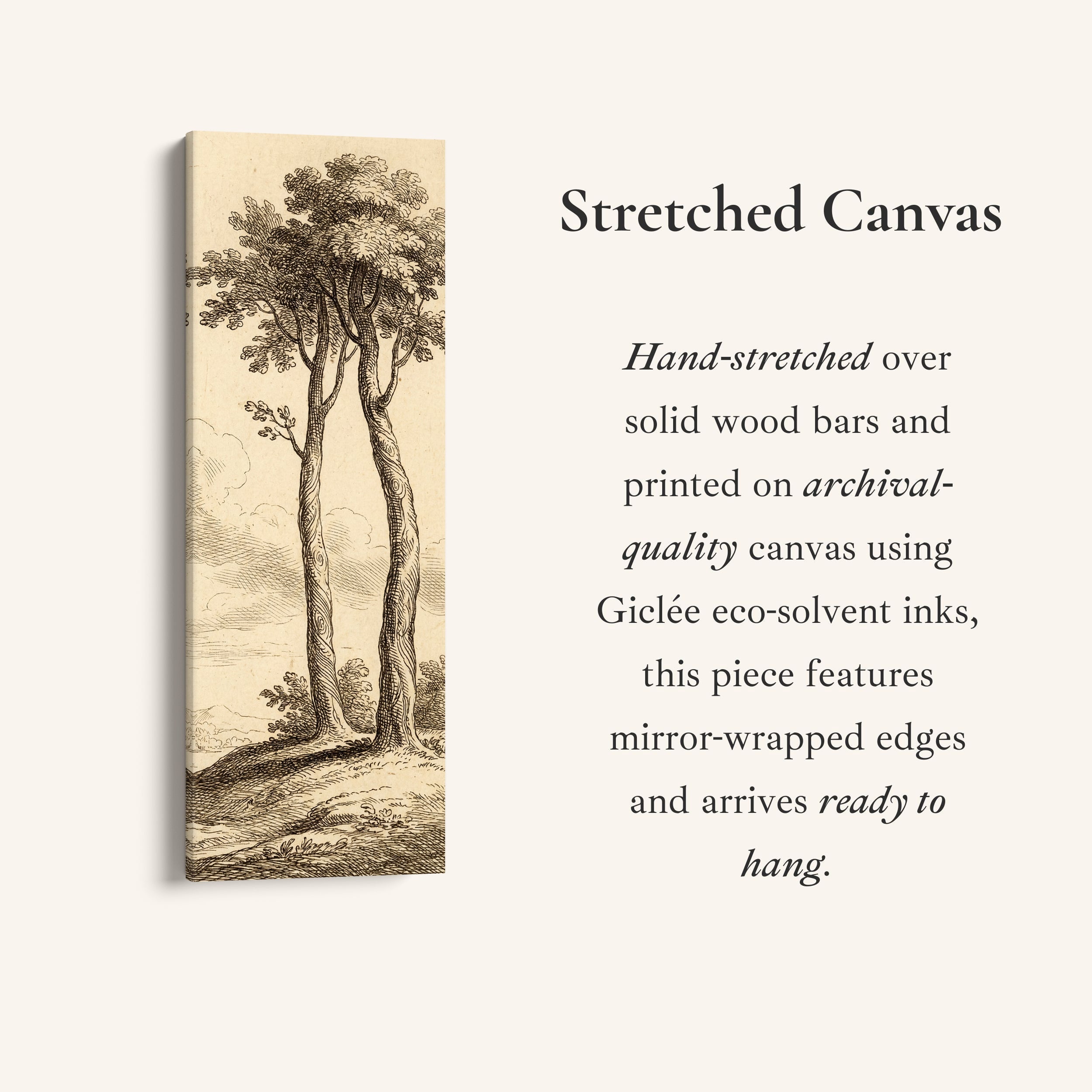 Long Wall Art Vintage Tree Illustration Canvas Print Hallway