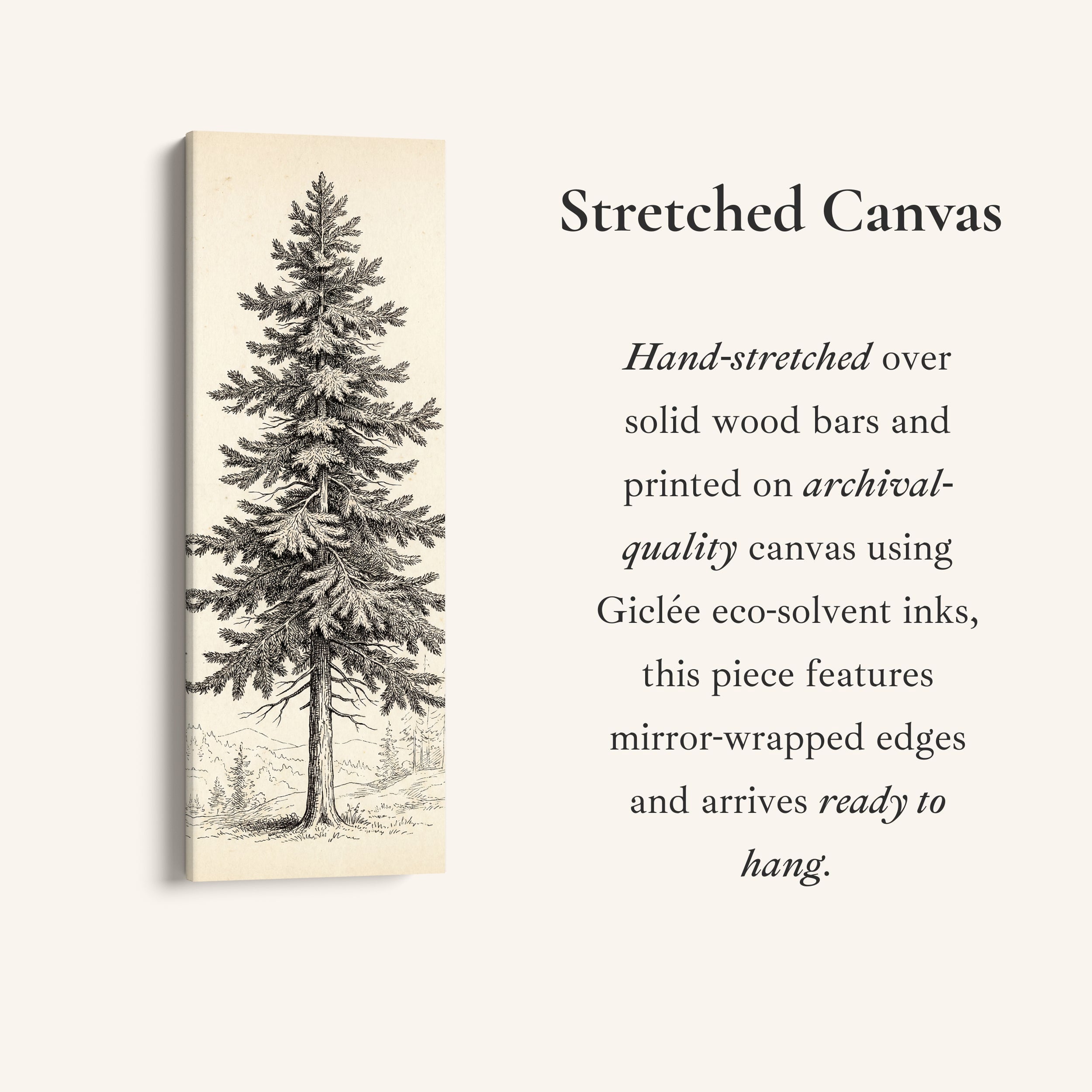 Vintage Pine Illustration Vertical Wall Art Wide Canvas Office