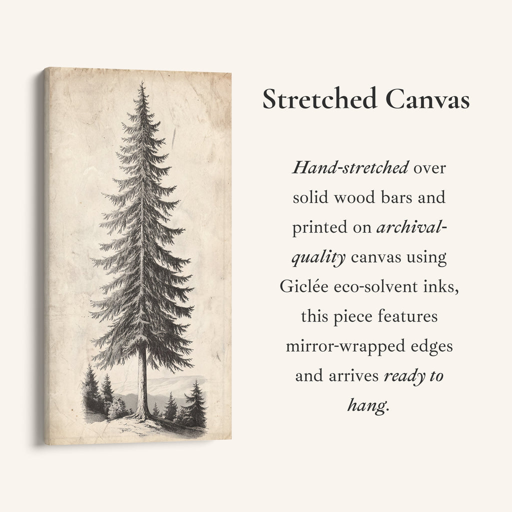 Vertical Wall Art Vintage Pine Illustration Tall Canvas For Office